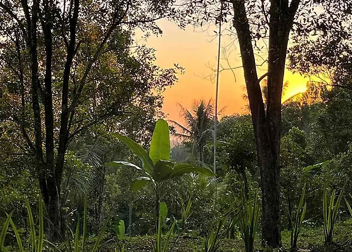 D'langun Bali Munduk