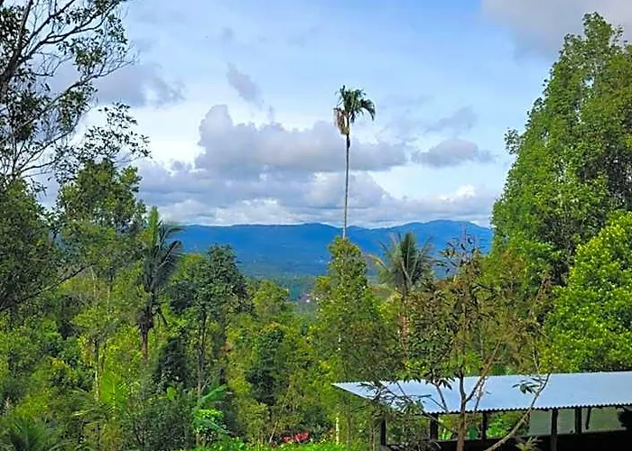 D'langun Bali Munduk