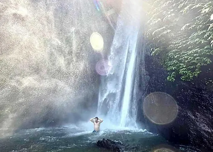 D'langun Bali ロッジ *