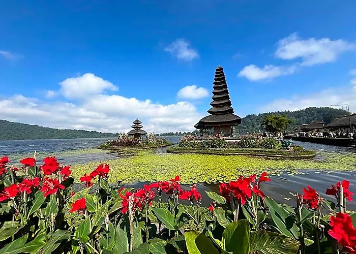 D'langun Bali *