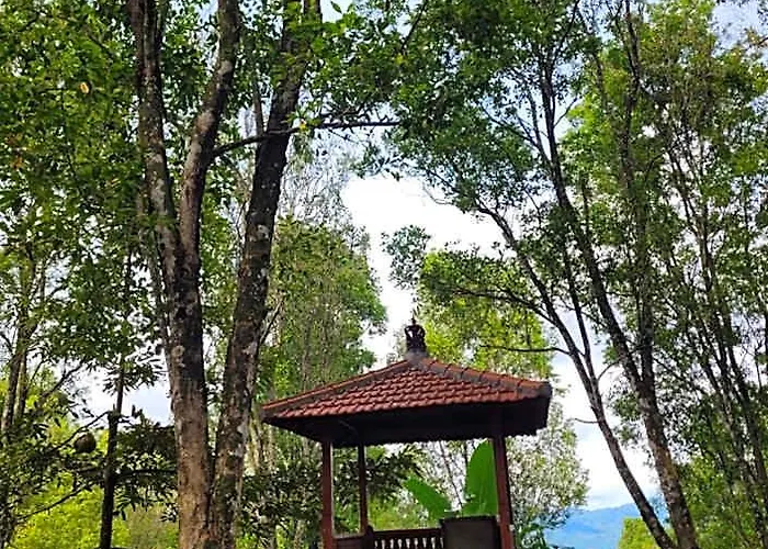 D'langun Bali Lodge *