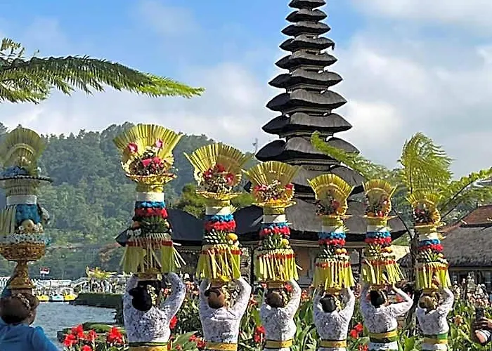 D'langun Bali ロッジ Munduk