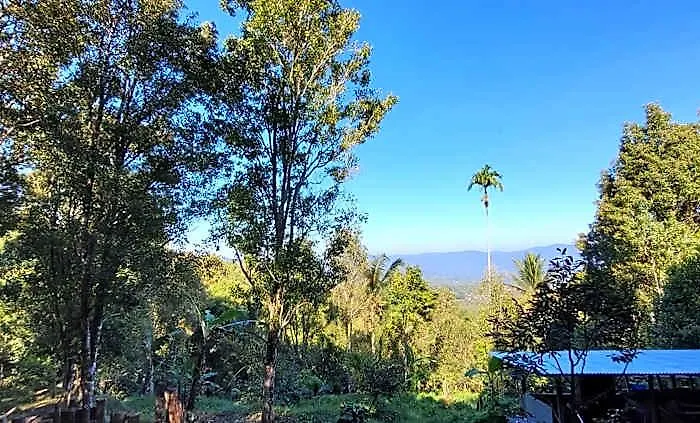 D'langun Bali ロッジ Munduk