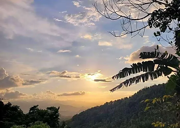 D'langun Bali Lodge Munduk