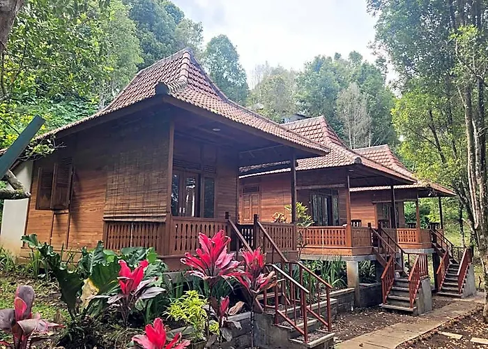 D'langun Bali ロッジ Munduk